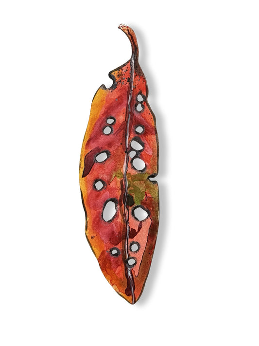 Medium Pohutukawa Leaf (24039)