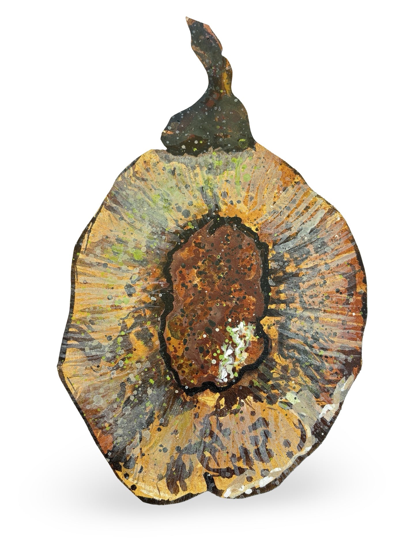 Slippery Elm Seed Pod Canvas Artwork - "Healing" (25105)
