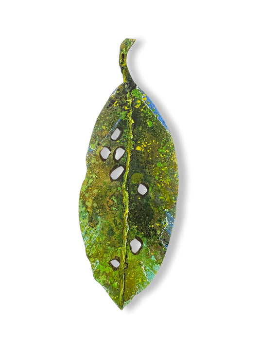 Medium Pohutukawa Leaf (23431)