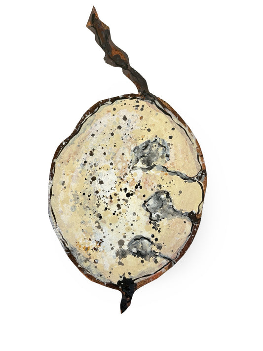 Small Honesty Seed Pod Canvas Artwork  - "Honesty" (25081)