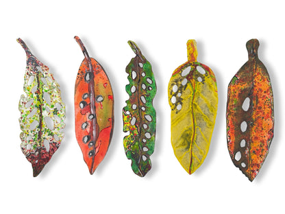 Small Pohutukawa Leaf (21325)