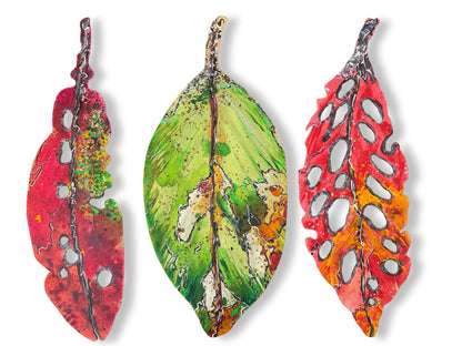 Medium Pohutukawa Leaf (25223)