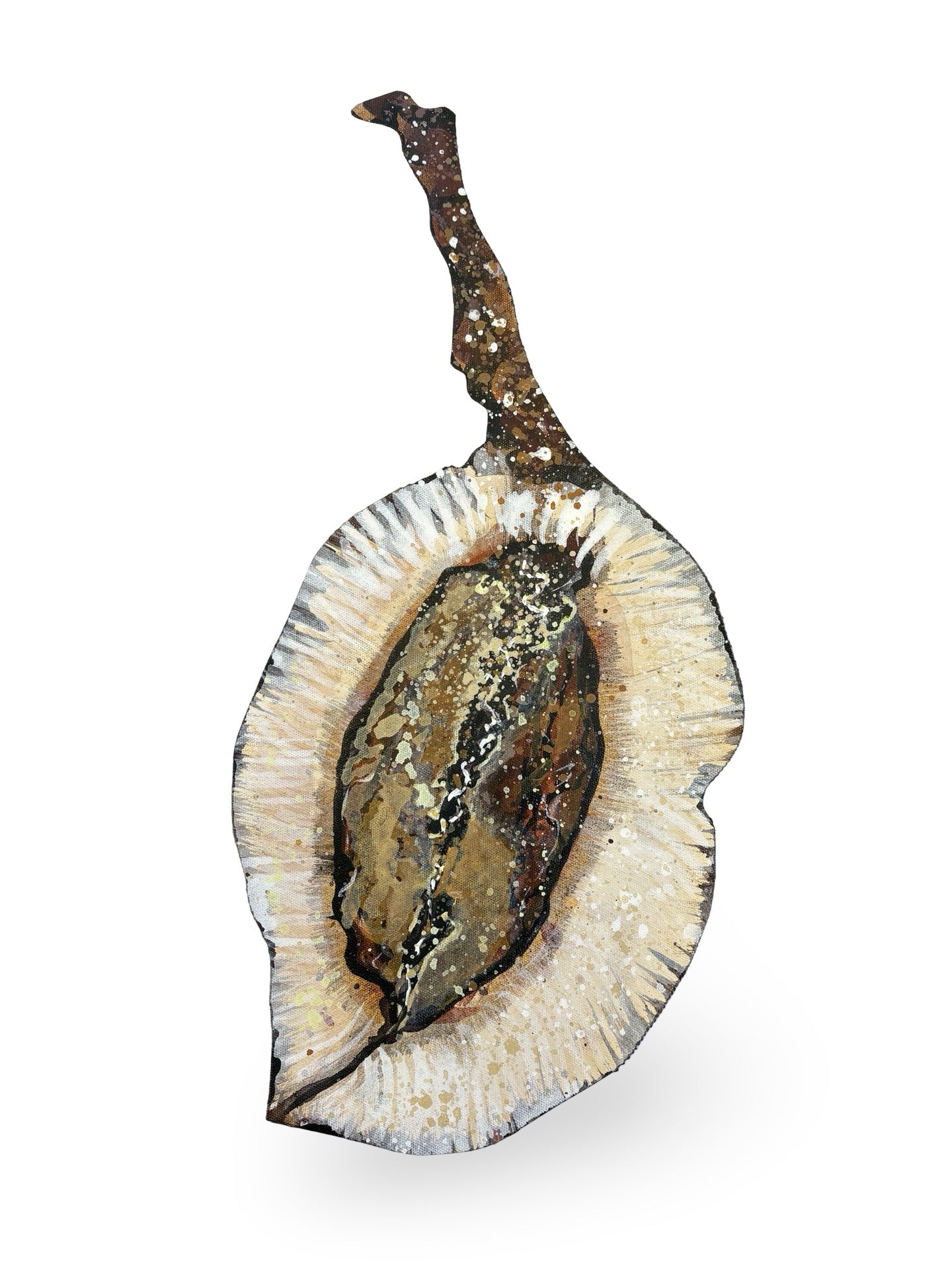 Jacaranda Seed Pod Canvas Artwork - "Nature's Beauty" (25095)