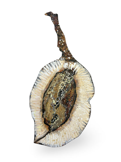 Jacaranda Seed Pod Canvas Artwork - "Nature's Beauty" (25095)