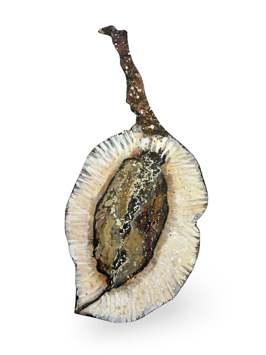 Jacaranda Seed Pod Canvas Artwork - "Nature's Beauty" (25095)