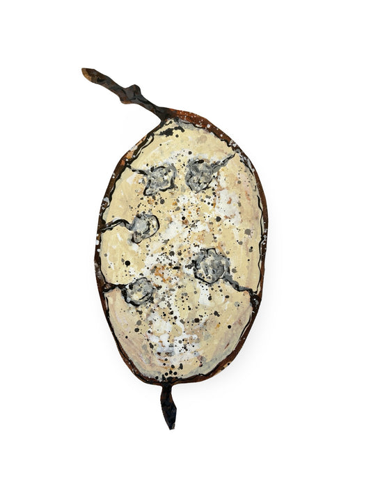 Small Honesty Seed Pod Canvas Artwork  - "Honesty" (25084)