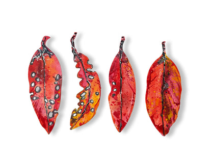 Small Pohutukawa Leaf (25220)