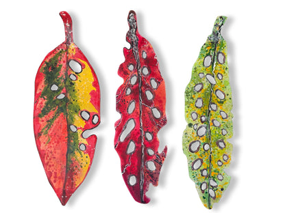 Medium Pohutukawa Leaf (25027)