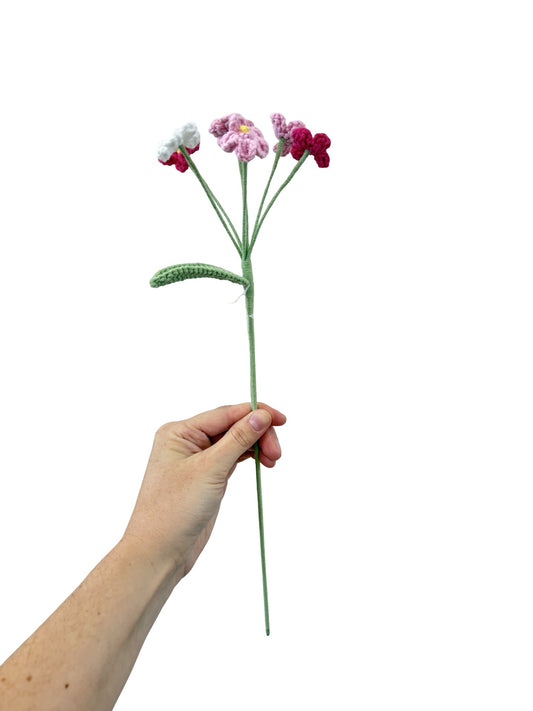 Crocheted Forget Me Not - Pinks