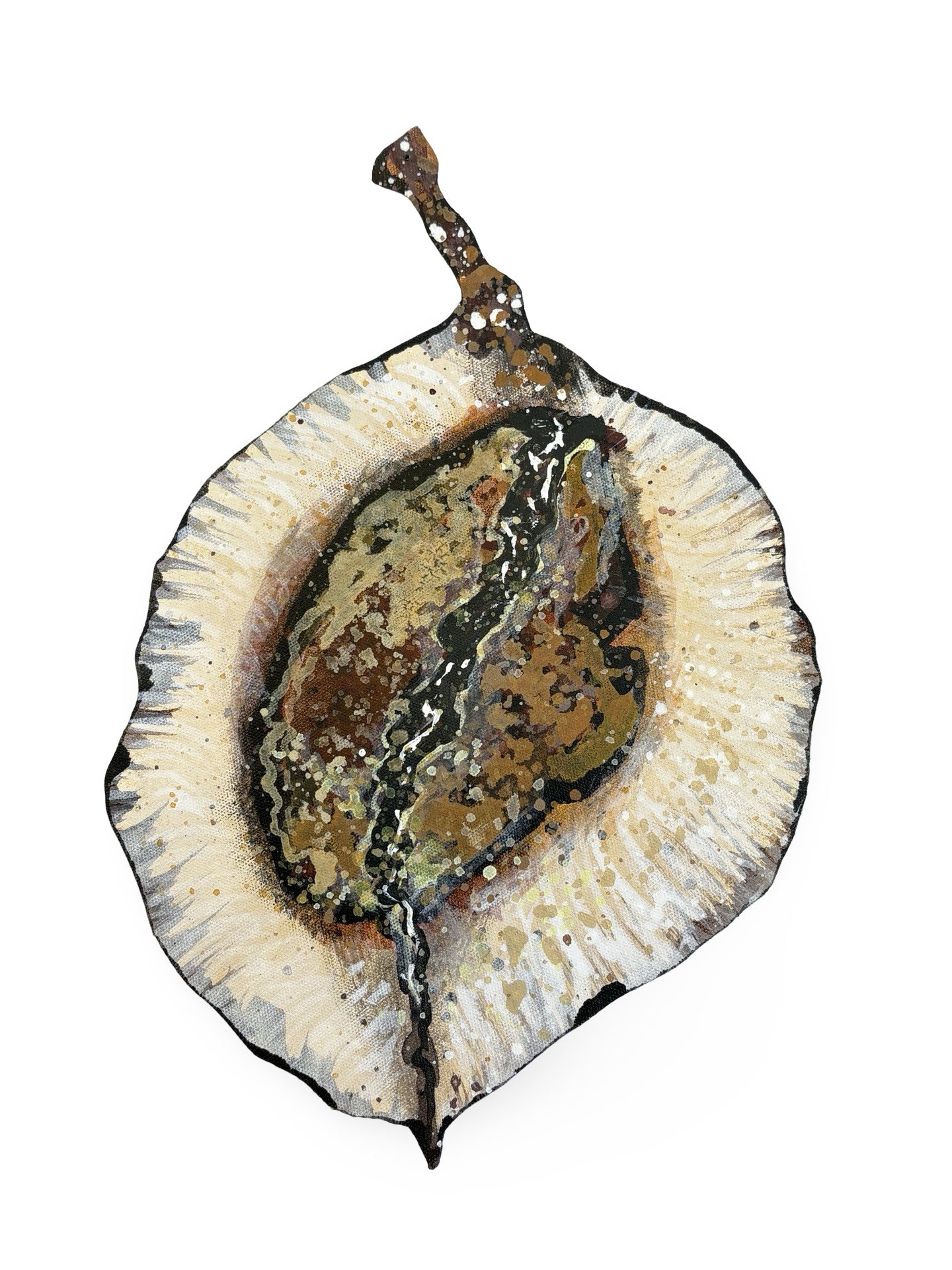Jacaranda Seed Pod Canvas Artwork - "Nature's Beauty" (25091)