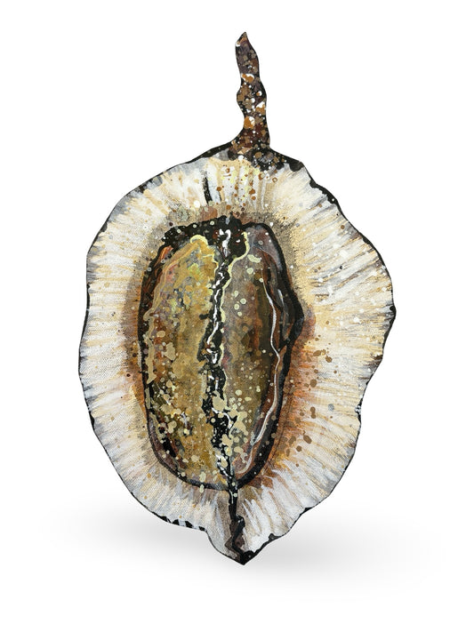 Jacaranda Seed Pod Canvas Artwork - "Nature's Beauty" (25090)