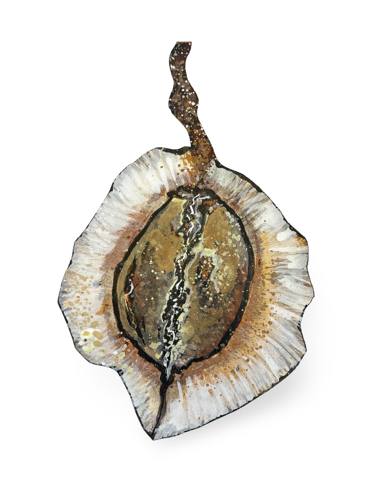 Jacaranda Seed Pod Canvas Artwork - "Nature's Beauty" (25096)