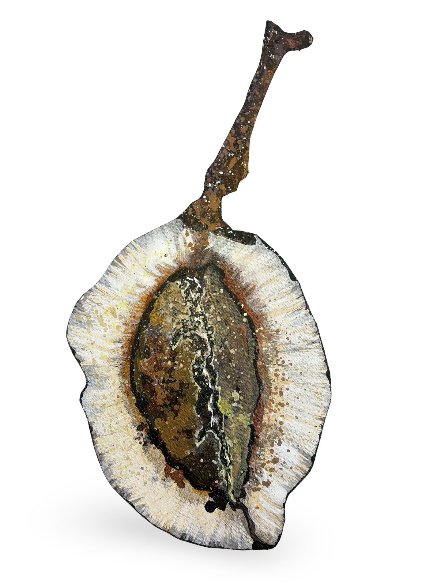 Jacaranda Seed Pod Canvas Artwork - "Nature's Beauty" (25094)