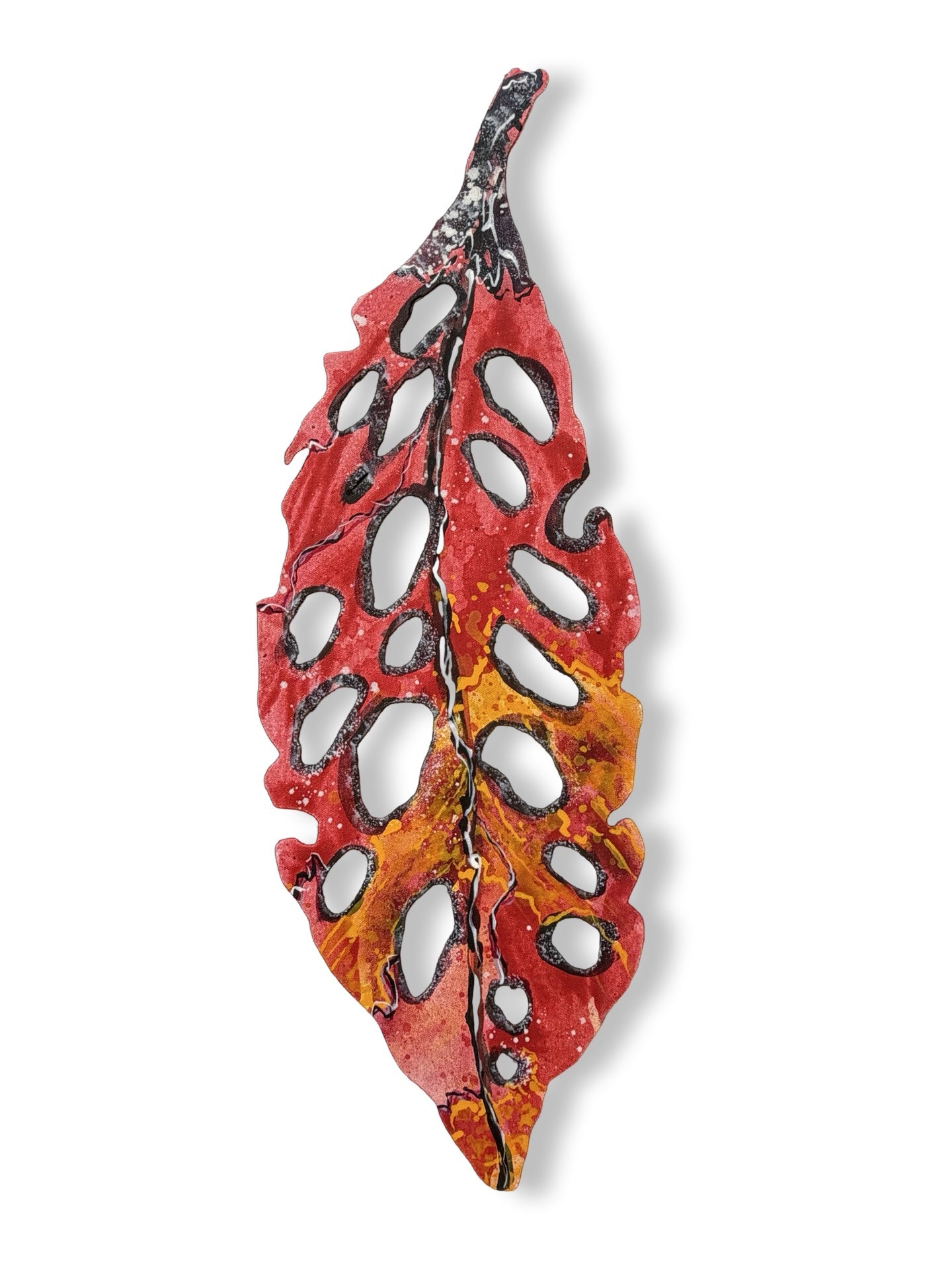 Medium Pohutukawa Leaf (25225)