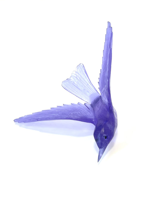 Bellbird / Korimako - Hyacinth
