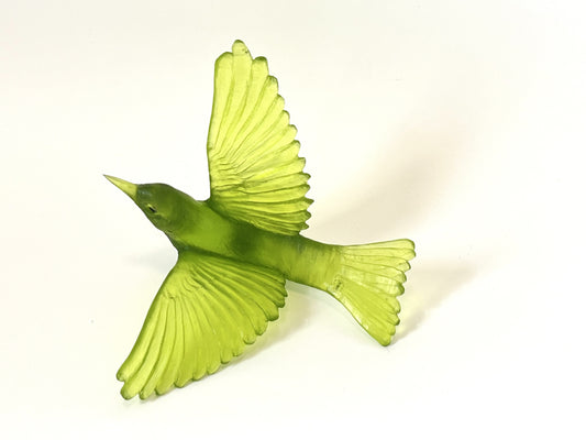 Silvereye / Tauhou - Olive