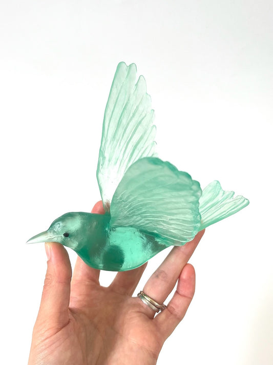 Stitchbird / Hihi - Lagoon