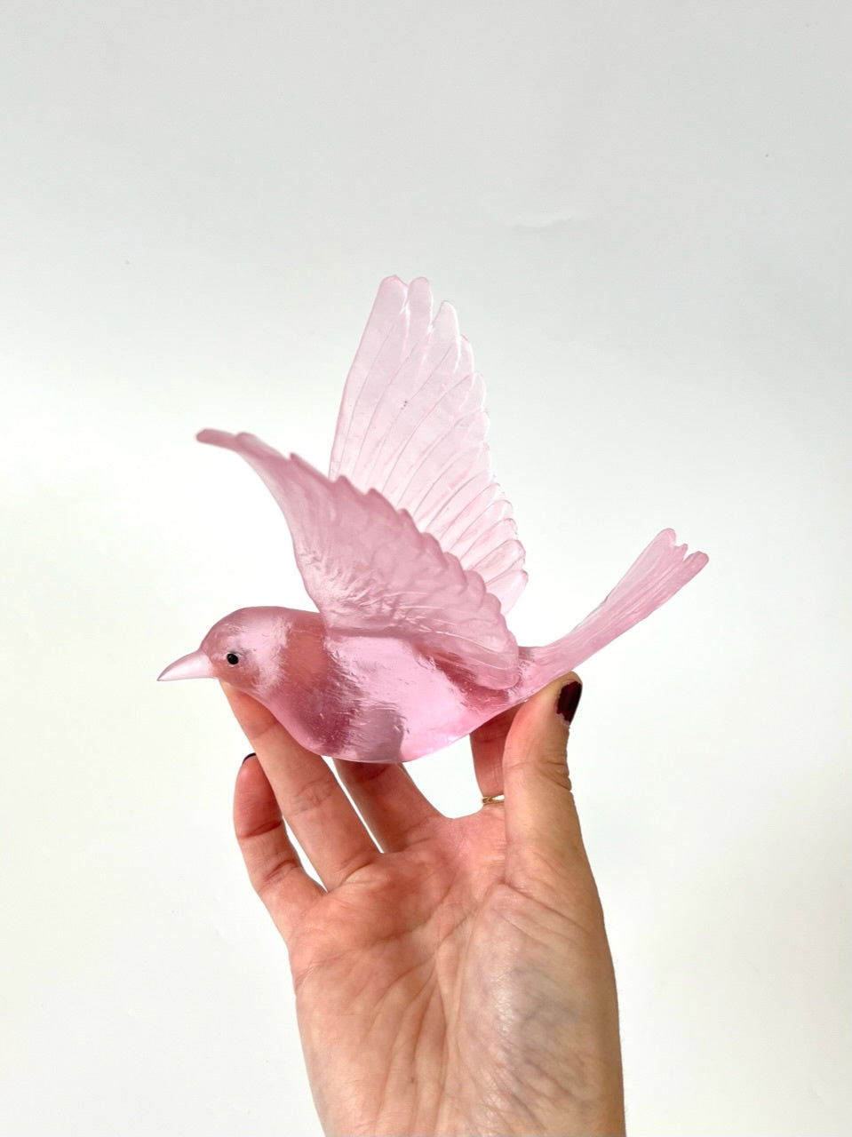 Stitchbird / Hihi - Pink
