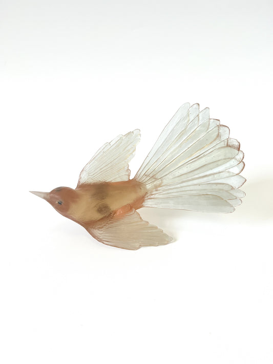 Fantail / Pīwakawaka - Rhubarb