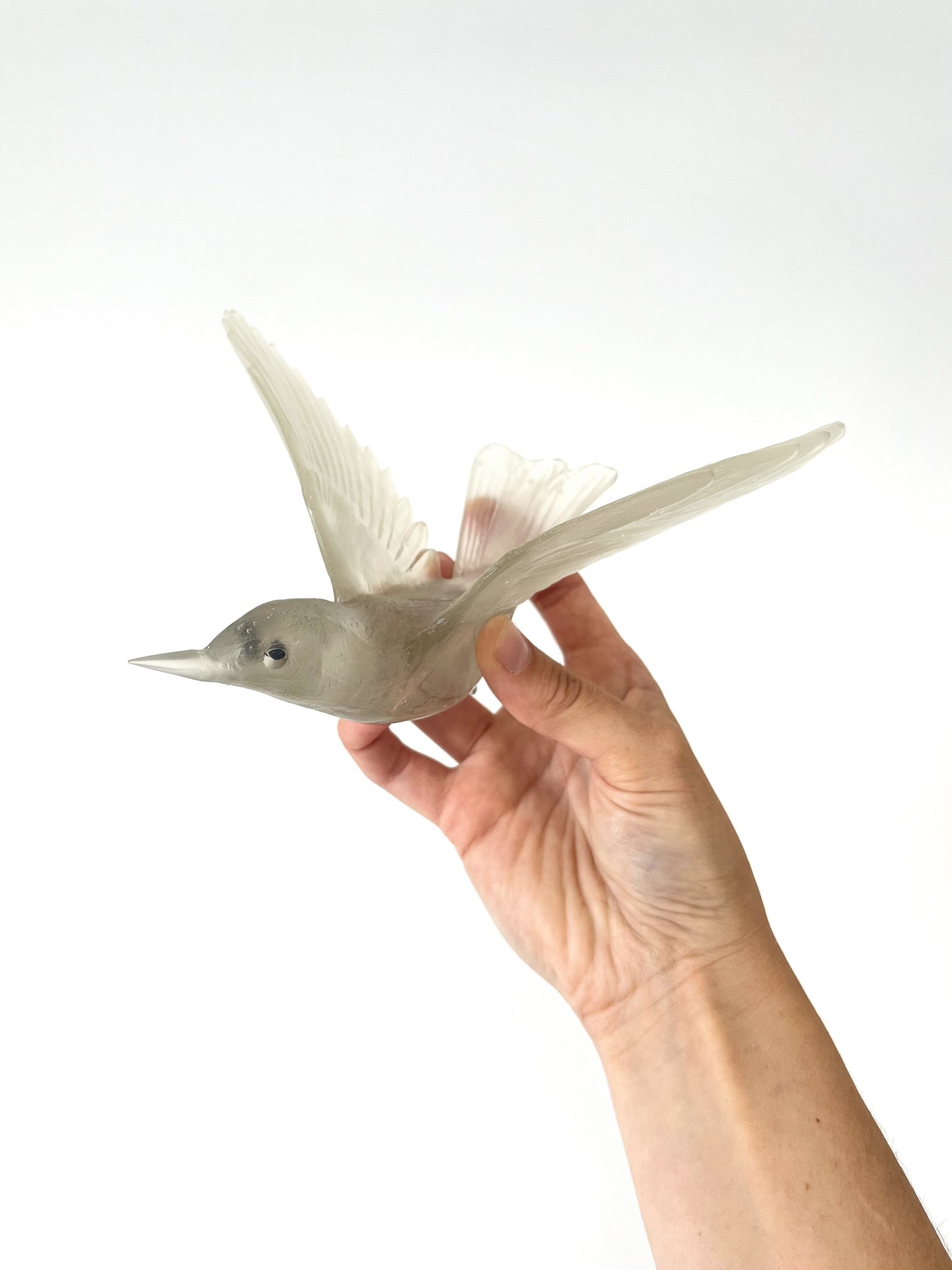 Bellbird / Korimako - Pale Grey