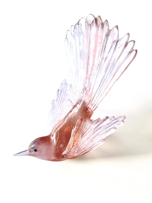 Fantail / Pīwakawaka - Rose