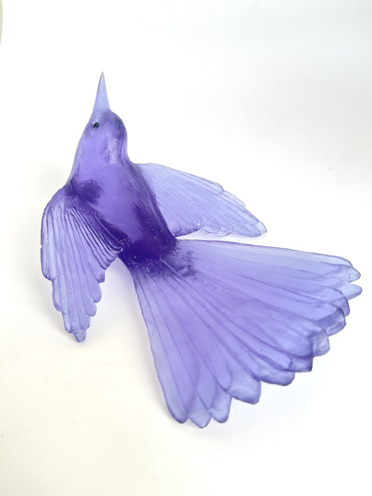 Fantail / Pīwakawaka - Hyacinth