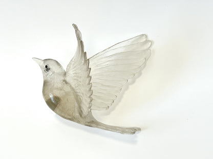 Stitchbird / Hihi - Pale Bronze