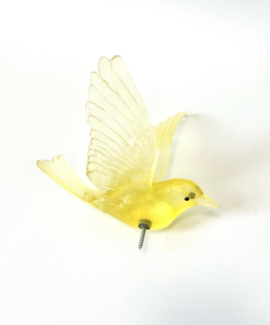 Stitchbird / Hihi - Citrine