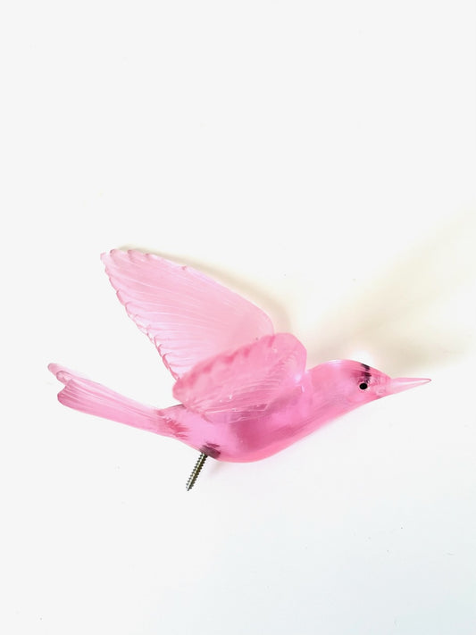 Bellbird / Korimako - Pink