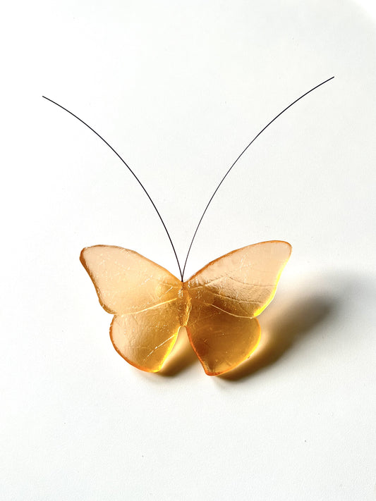 Glass Red Admiral / Kahukura Butterfly - Apricot