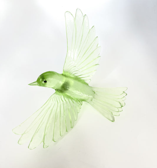 Yellowhead / Mōhua - Pale Olive