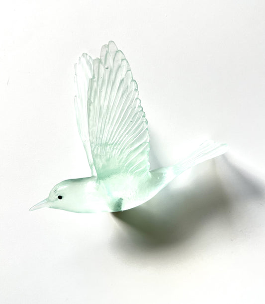 Shining Cuckoo / Pipiwharauroa - Pale Lagoon