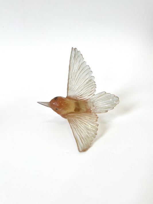 Tomtit / Kōmiromiro - Rhubarb
