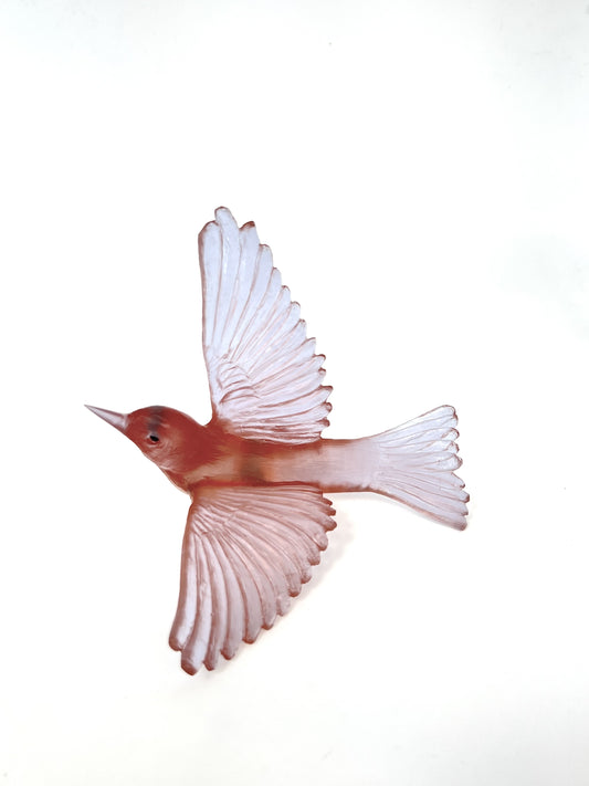 Silvereye / Tauhou - Rose