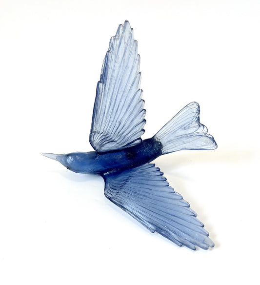 Bellbird / Korimako - Steel Blue