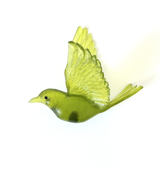 Stitchbird / Hihi - Olive