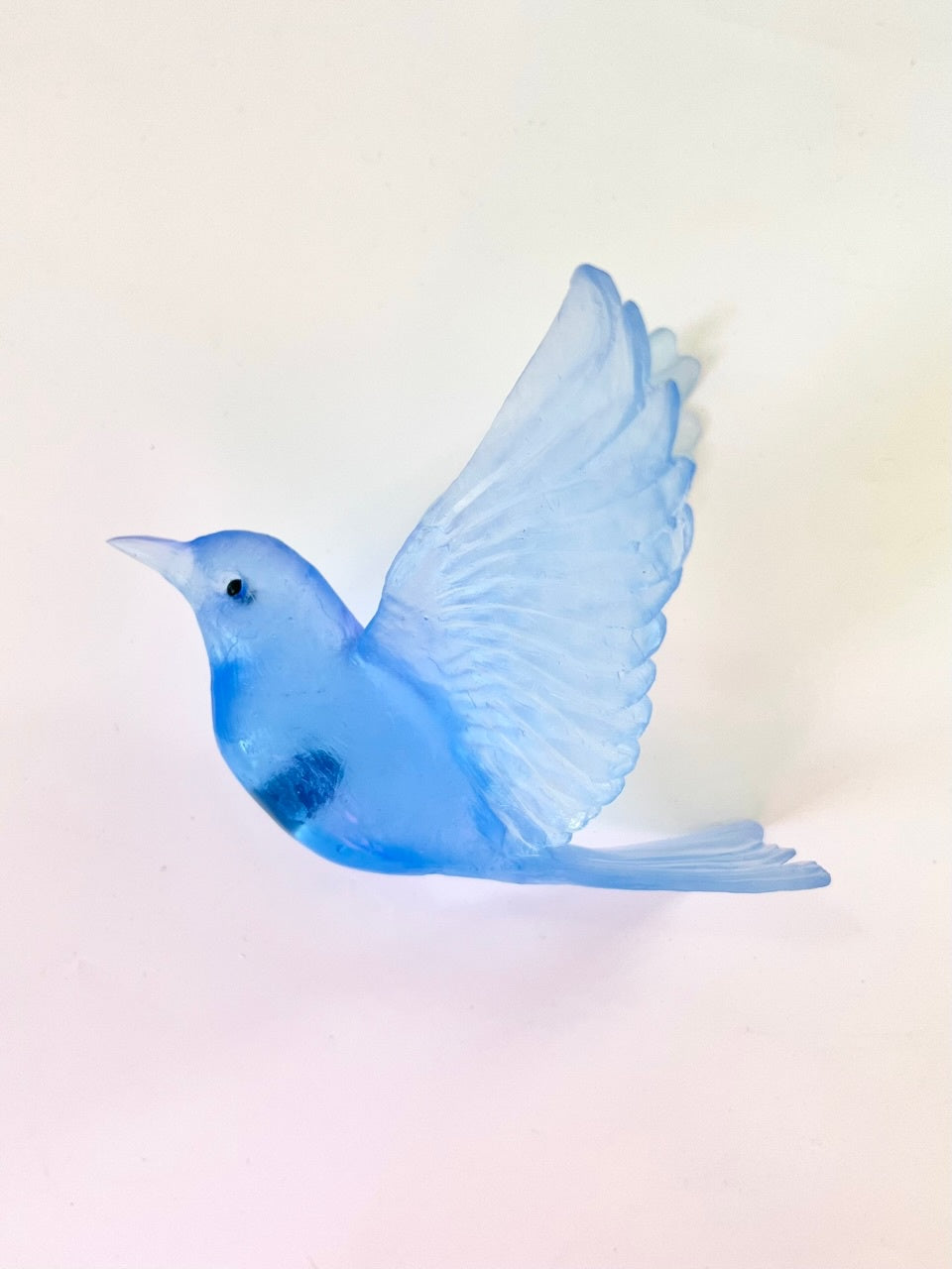 Stitchbird / Hihi - Pale Cobolt Blue