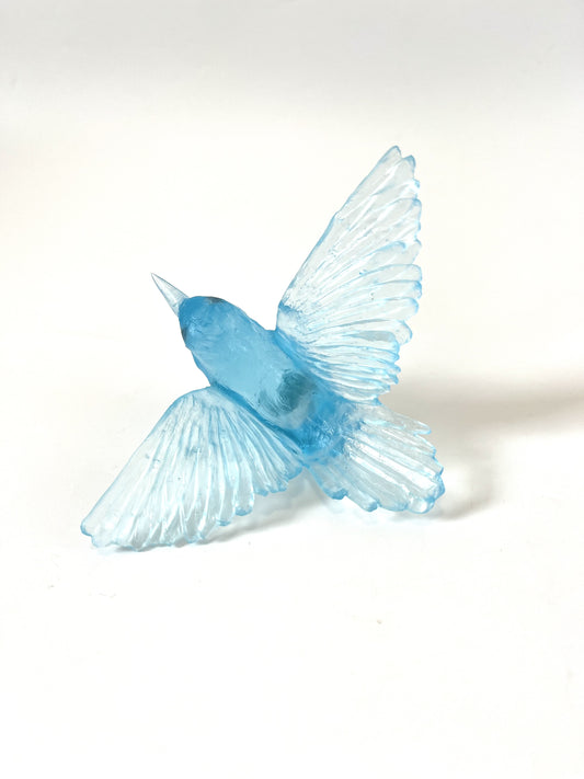 Tomtit / Kōmiromiro - Pale Copper Blue