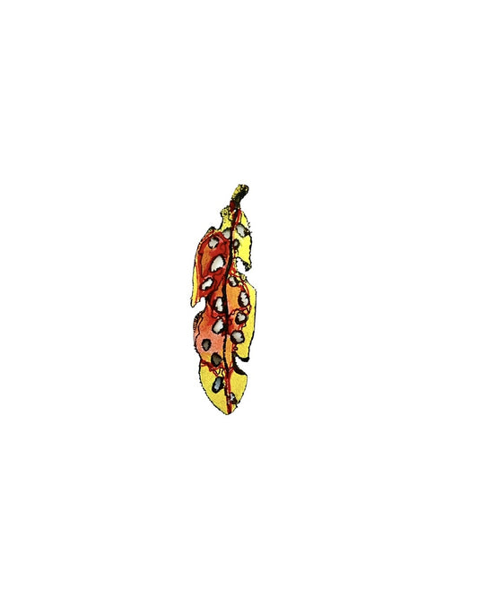 Tiny Pohutukawa Leaf (21498)
