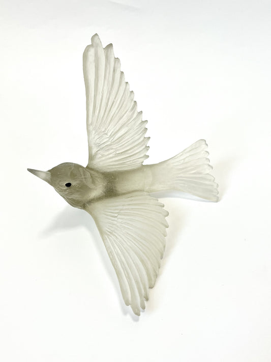 Silvereye / Tauhou - Pale Bronze