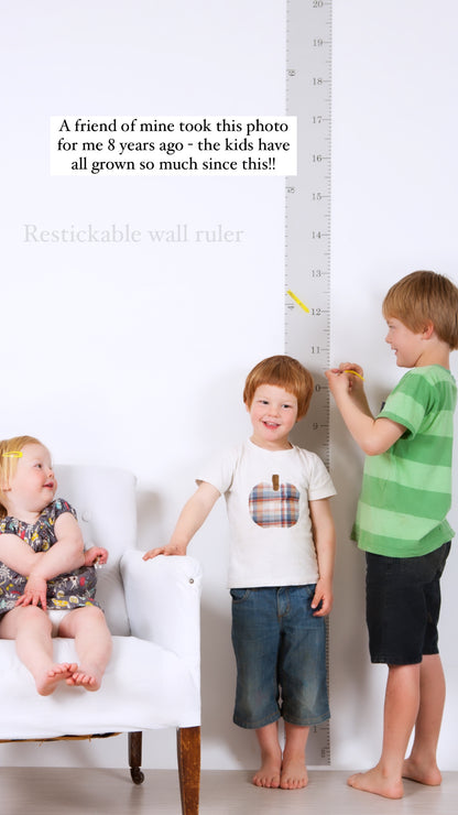 Wall Ruler - Black