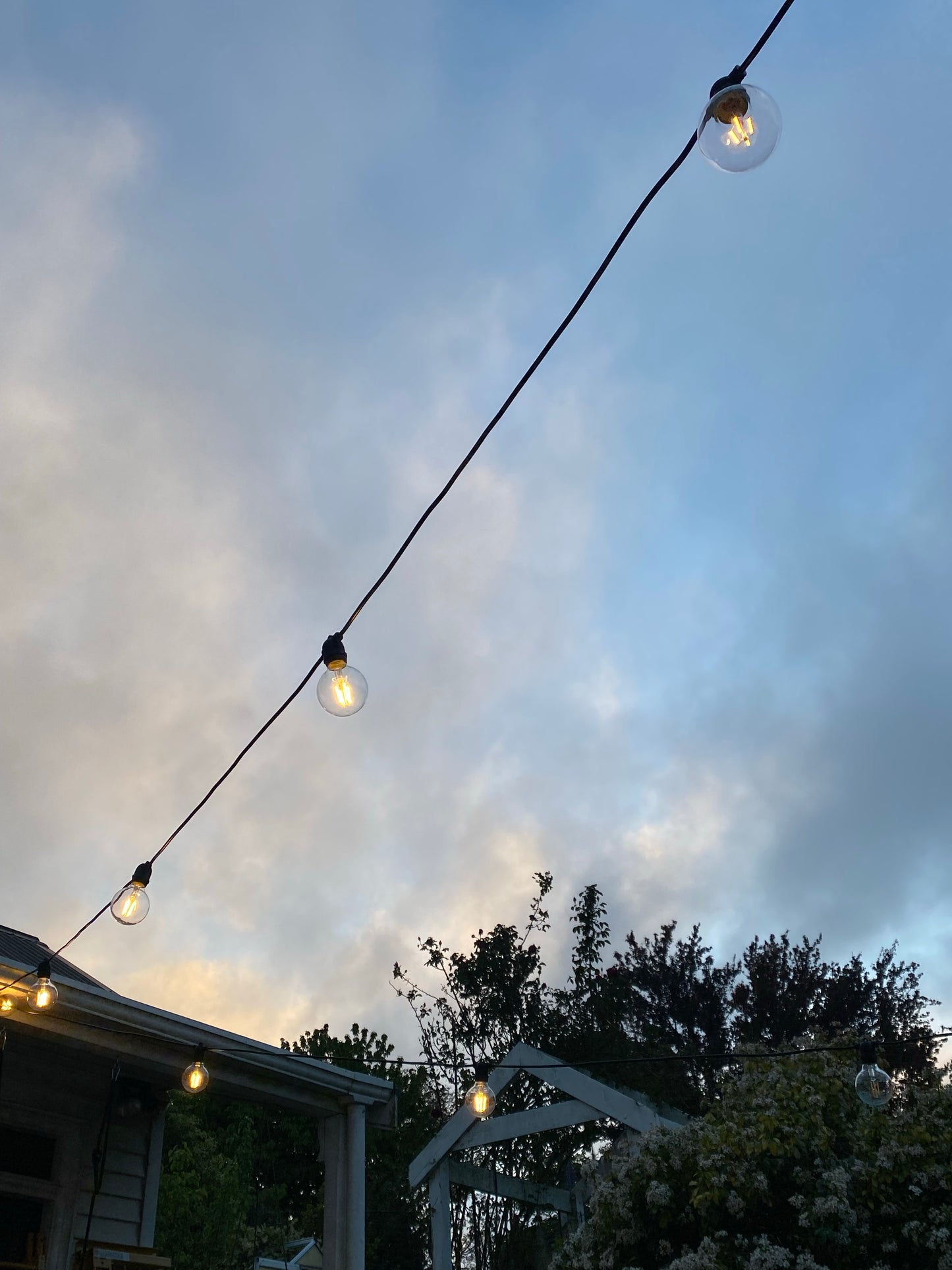 15m Outdoor LED Festoon Lights