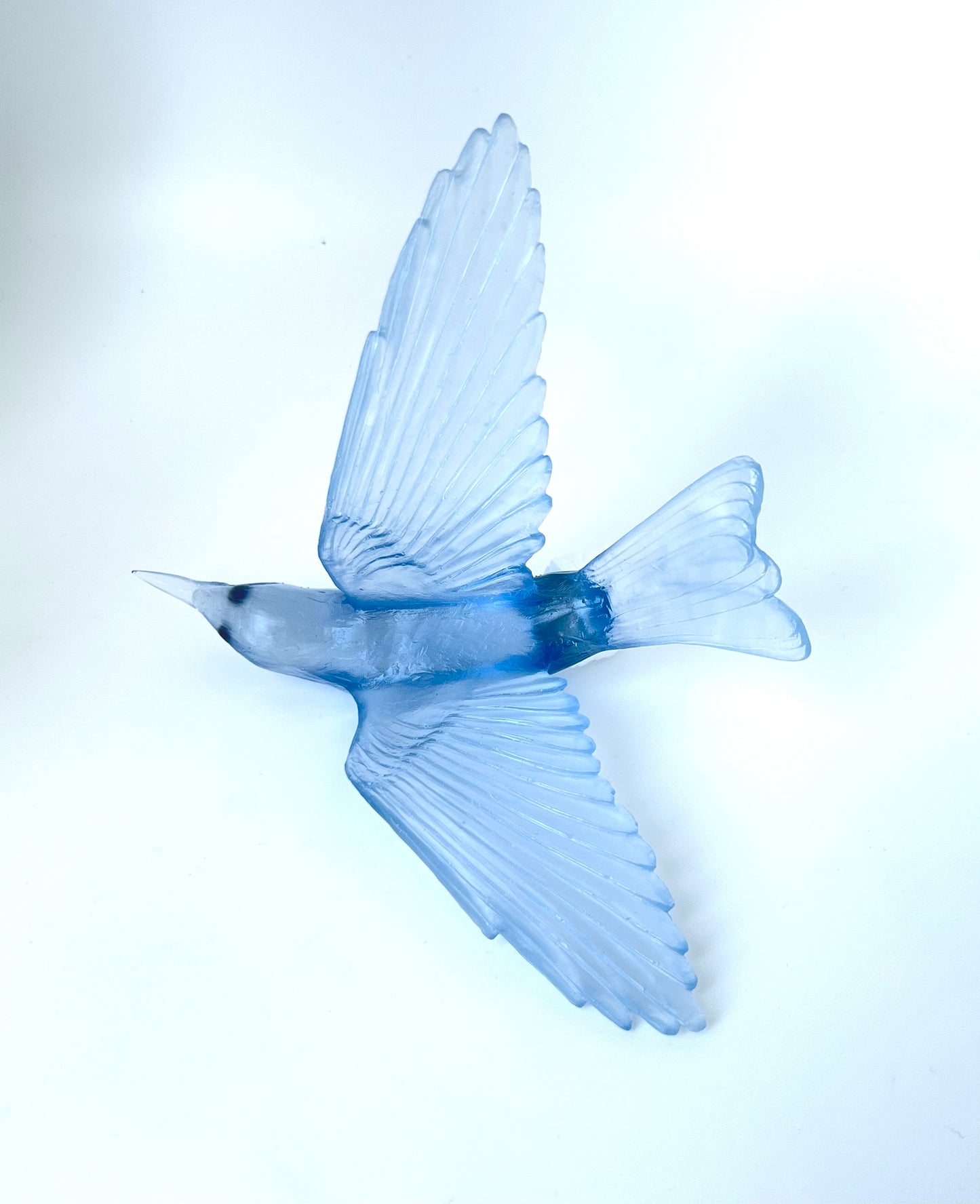 Bellbird / Korimako - Pale Steel Blue
