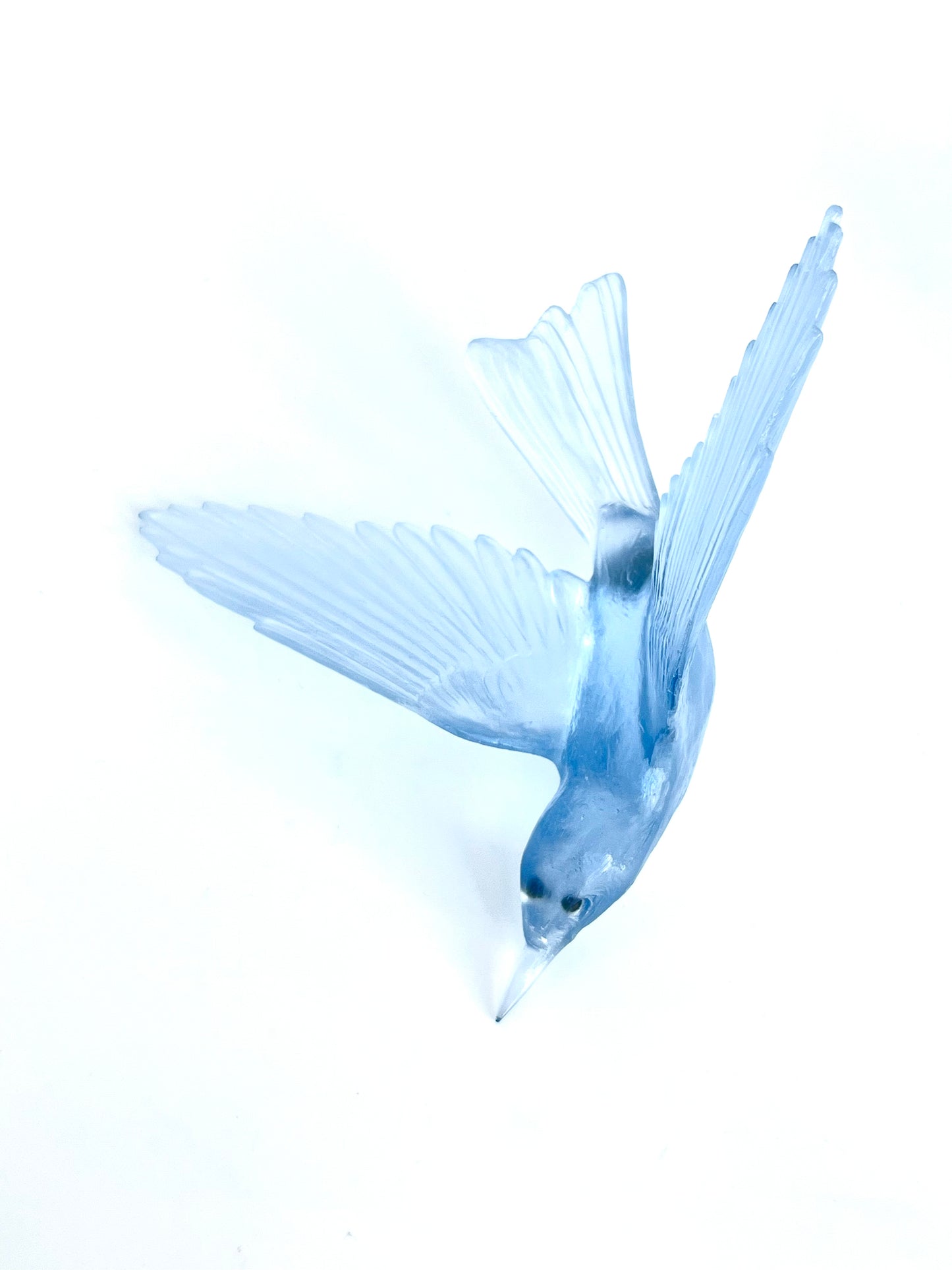 Bellbird / Korimako - Pale Steel Blue