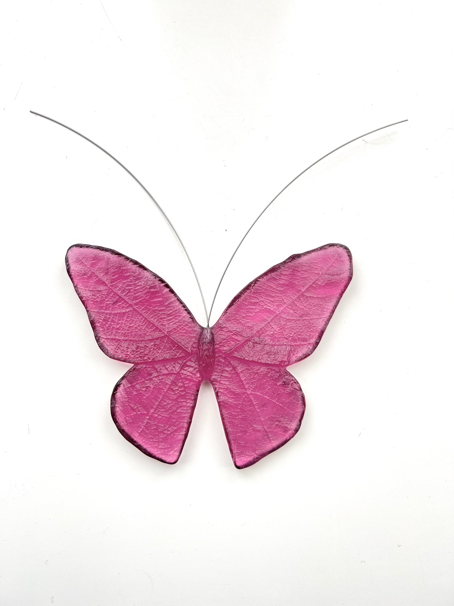 Glass Monarch / Kakahu Butterfly - Gold Amethyst