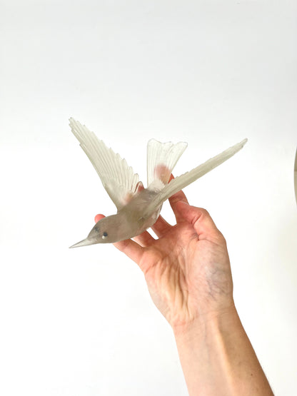 Bellbird / Korimako - Pale Grey