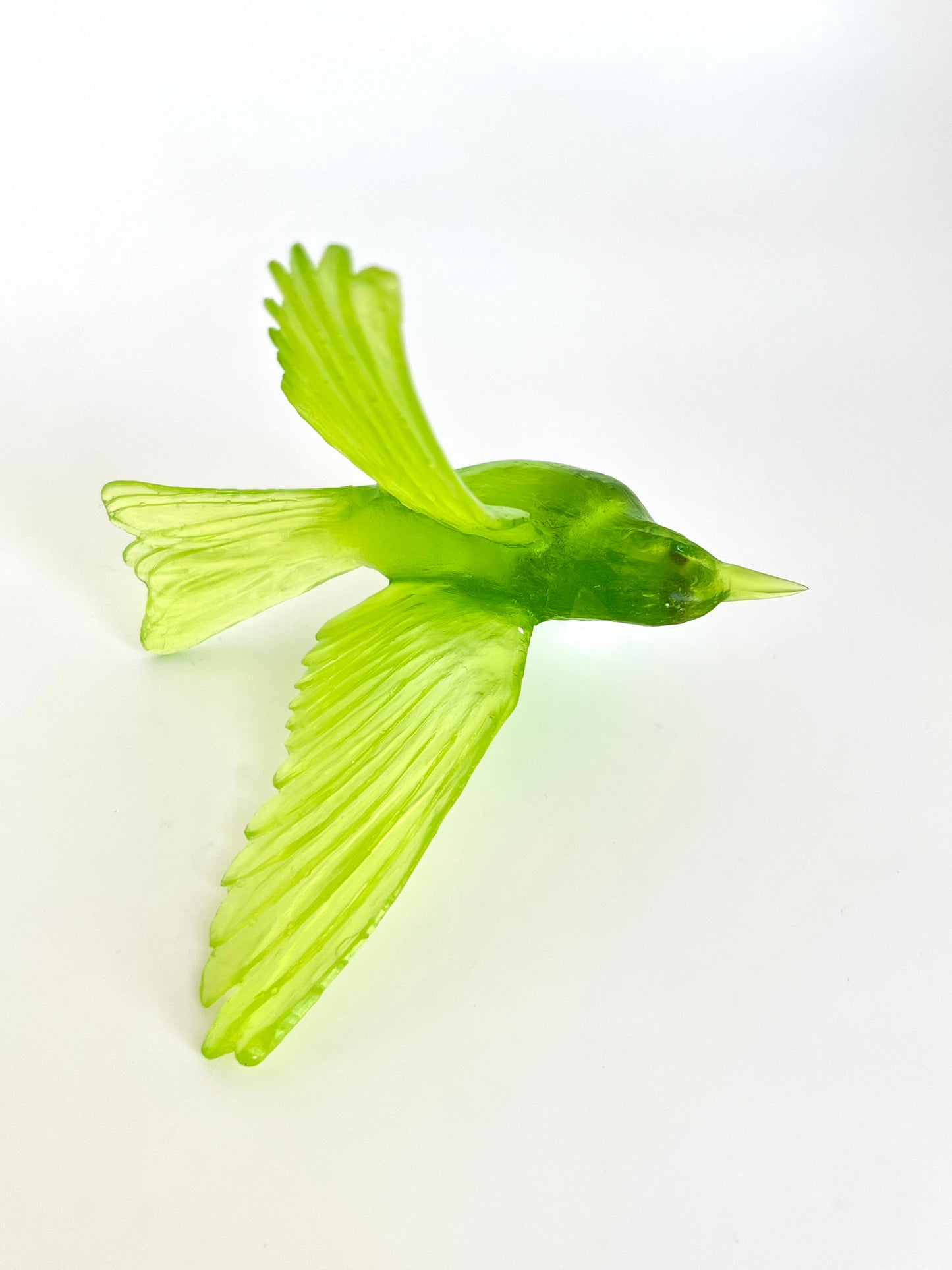Stitchbird / Hihi - Lime