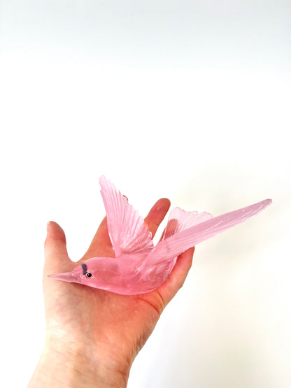 Bellbird / Korimako - Pink