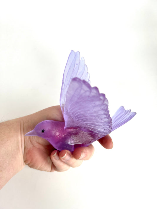Stitchbird / Hihi - Lilac