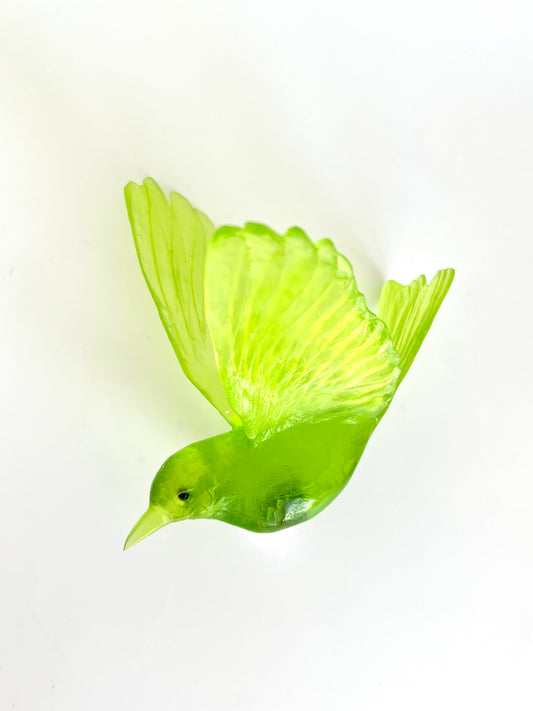 Stitchbird / Hihi - Lime